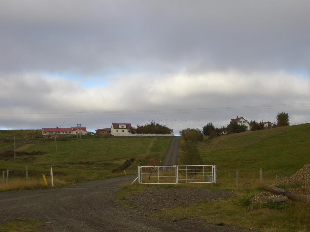 Guesthouse Steinsholt Eksteriør billede