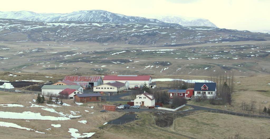 Guesthouse Steinsholt Eksteriør billede